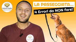 Passeggiata con il Cane: 4 Errori da Non Fare (e Perché) | Giuliano Addestratore