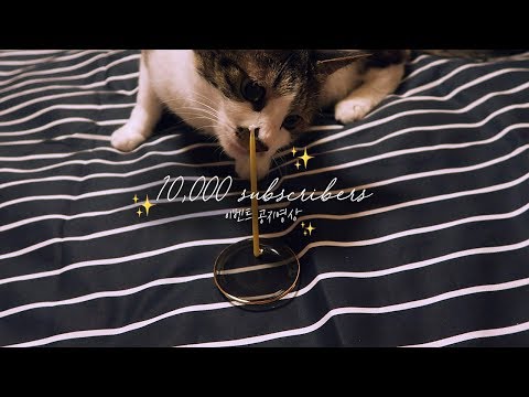 ⎮구독자 만명 기념 이벤트🎂 참여하세용✨⎮10,000 SUBSCRIBERS