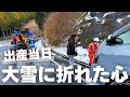 【ダックスの出産】出産当日に異常分娩が発覚、病院に向かうも大雪に阻まれる