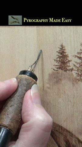 Holzverbrennung – einfaches und einfaches Tutorial für immergrüne Bäume #shorts
