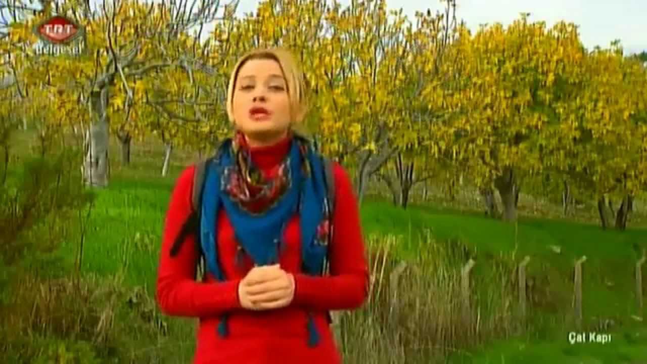 cat kapi soke aydin 4 ocak 2015 trt belgesel ayi turizm cati cat kapi soke aydin 4 ocak 2015 trt belgesel ayi turizm cati