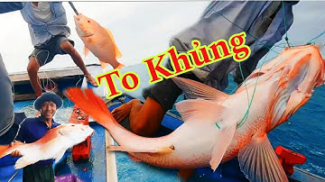 CÂU THU 12_Độc Đáo Kĩ Thuật Câu Mực Bằng Móc RƯỜNG_1 Đêm Bội Thu Mực Lá Và Mực Ống