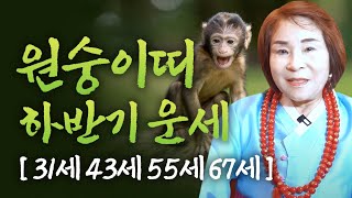 2022년 삼재띠 원숭이띠 하반기운세(31세 43세 55세 67세)강북점집 동대문점집 종암동점집 예원암