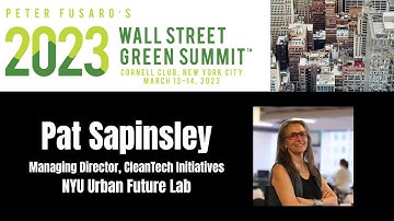Programs at the Urban Future Lab | Pat Sapinsley | 2023 WSGS