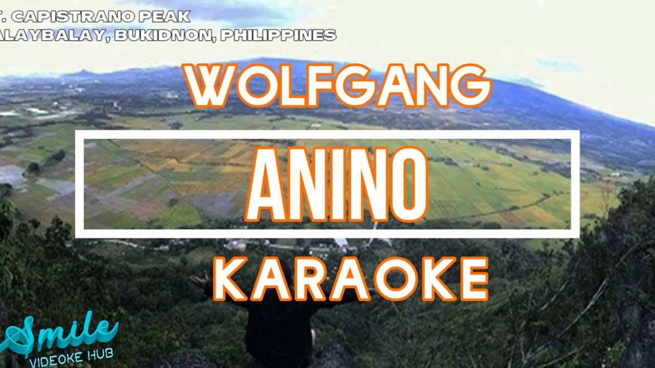 ANINO  -  WOLFGANG ( karaoke )