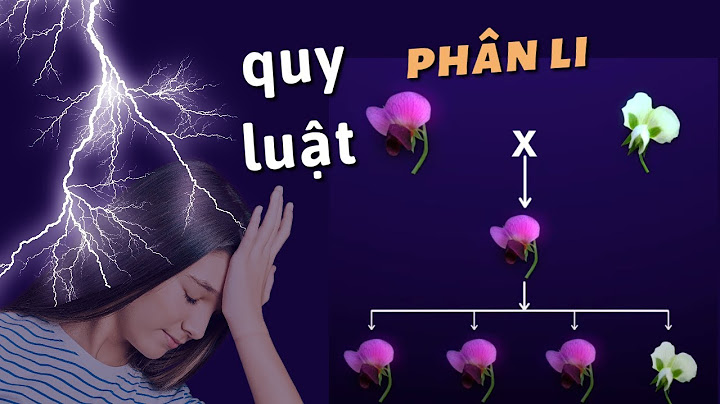 Nội dung quy luật phân li độc lập là gì