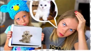 Милана хочет КУПИТЬ КОТЁНКА! что ответила мама? скетчи от family box