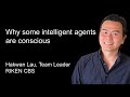 Why some intelligent agents are conscious by Hakwan Lau