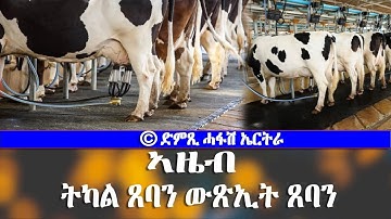 ኣዜብ ትካል ጸባን ውጺኢቱን - DimTsi Hafash Eritrea/ድምጺ ሓፋሽ ኤርትራ