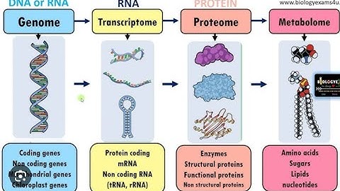 Genomics To Proteomics & Metabolomics #biology #video #india #clinic #viral #bioinformatics #medical