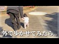 初めて外で歩いたけど案の定こうなるｗ
