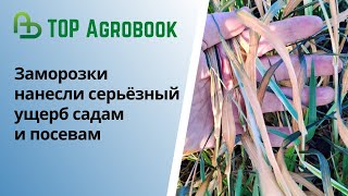 :         | TOP Agrobook:   
