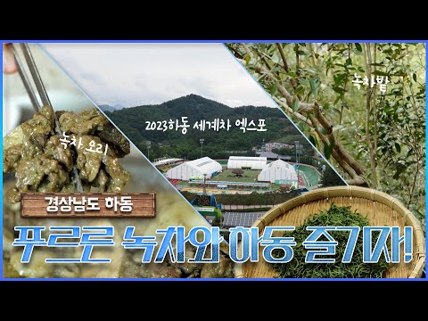 2023 하동세계차(茶)엑스포를 가다 | 두근두근 경남 (KBS 2023.05.16, 화 방송)