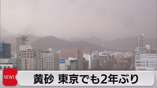 黄砂 東京でも２年ぶり（2023年4月13日）