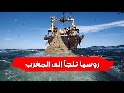 روسيا تلجأ إلى المغرب بدلا عن الموانئ الأوروبية