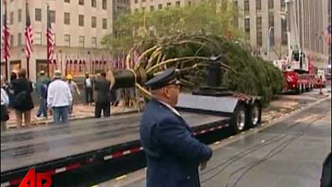 In New York, a Big Tree Takes Its Place