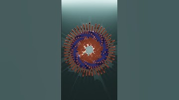 Very Satisfying Torus Animation