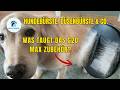 Hundebürste, Mini-Bürste &amp; Co. – Xiaomi G20 Max Zubehör im Test