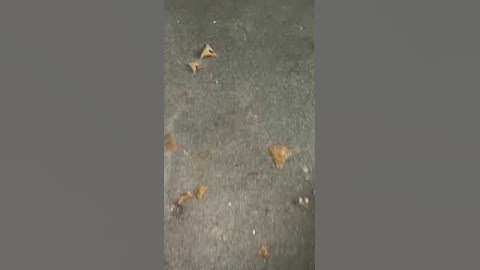 Austest Leak Detection North Melbourne