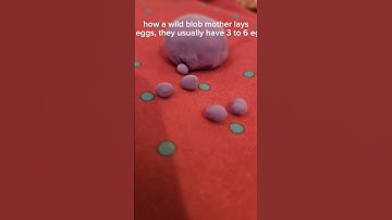 part of the blob life cycle #art #stopmotion #artist #animation #beginnerartists #blob