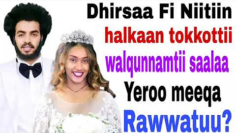 Dhirsaa Fi Niitiin Halkaan Tokkottii Walqunnamtii Saalaa Yeroo Meeqa Rawwachuu Danda U 