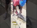 roof cutting and breaker shipping