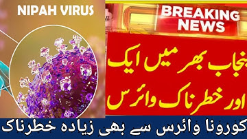 Nipah virus| symptoms and precautions of Nipah virus|pakistan govt has issued high alerts for nipah