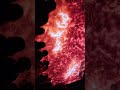 DeepSpace