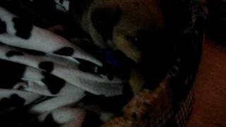 MVI_1849.AVI