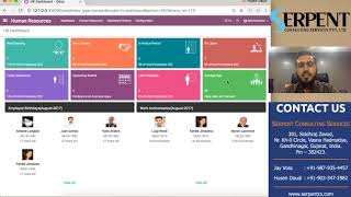 Odoo HR Dashboard for Service Industry
