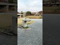 Kamogawa, Kyoto, Japan