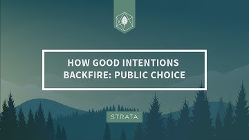 Good Intentions - Public Choice
