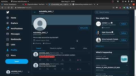 Making a Twitter Bot: First Tweet, Further Improvements (Part 2)