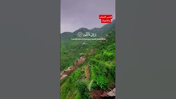 سورة البقرة الجزء العشرون الايه 41 و 42 بصوت القارئ اسلام صبحي #لا_اله_الا_الله #القرآن_الكريم