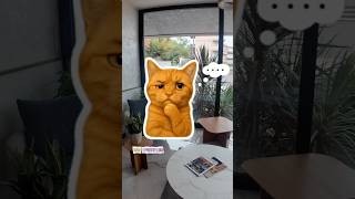 Подробный обзор на Royal Blue Resort and Residences в Тивате / Кавач, Черногория #hotelreview