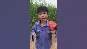 Nhặt được tiền rơi trả người đánh mất Tập 1 | Tippi Vips #tippitv #tippivips