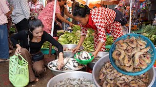 Market show : '' Wet market '' Ocean food is so fresh  Yummy Ocean food cooking