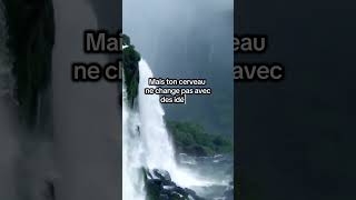Erreur de reprogrammation numéro 2 #psychologie #reprogrammation