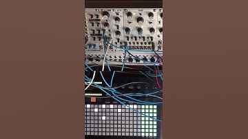 @Polyend Play with eurorack jam. #stazma #eurorack #idm