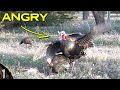 BIG GOBBLER Came In MAD! | 28 Gauge Turkey Hunting