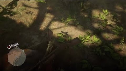 oppressor mk2 in read dead online?