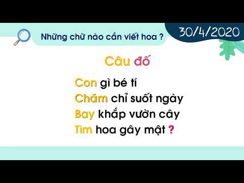 Chính tả_Câu đố