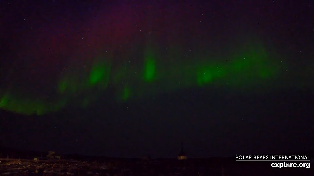 Another colourful night of Aurora! Churchill Manitoba Explore.org 7th may 2023