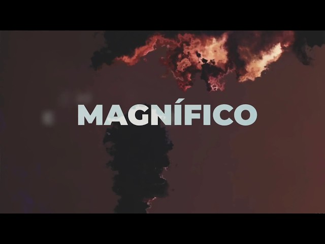 Fuente Q - Magnifico