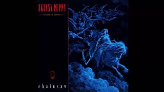 Skinny Puppy - Chainsaw, 12in single