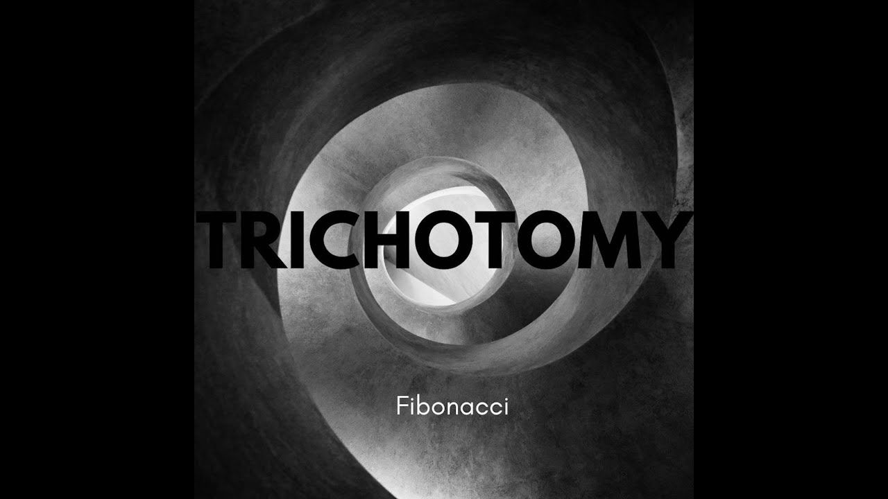 YouTube에서 Fibonacci - TRICHOTOMY 보기 YouTube에서 Fibonacci - TRICHOTOMY 보기