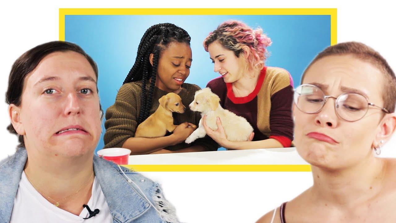 humor or humour People React To the Cutest BuzzFeed Videos