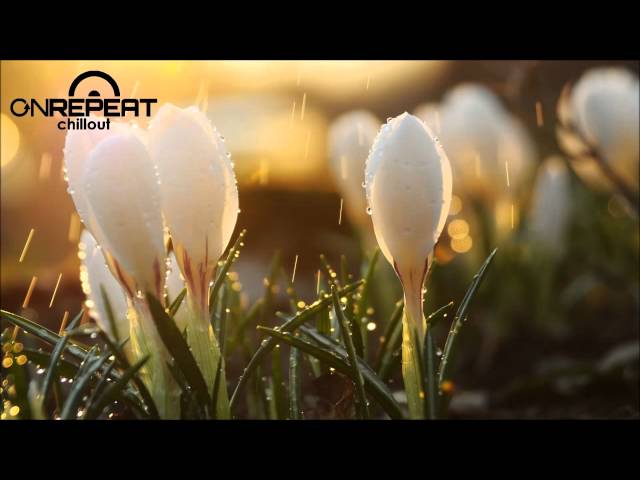 Polished Chrome - Secret of sound