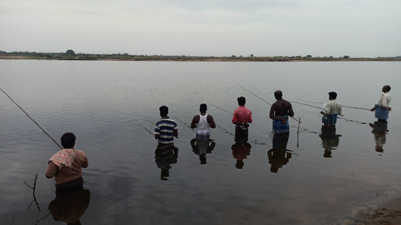 tamil fishing கெண்டை மீன் தூண்டிலில் பிடிப்பது எப்படி?? YouTube