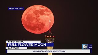 Full Flower Moon captured on video over Las Vegas